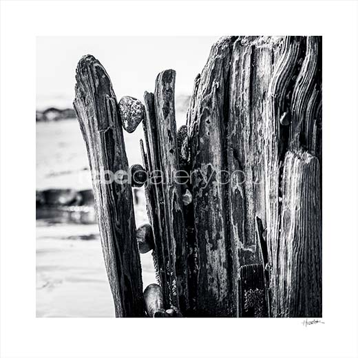 "Trapped" Worn wooden beach groyne on Bulverhythe beach St Leonards-on-Sea by Huldrick.